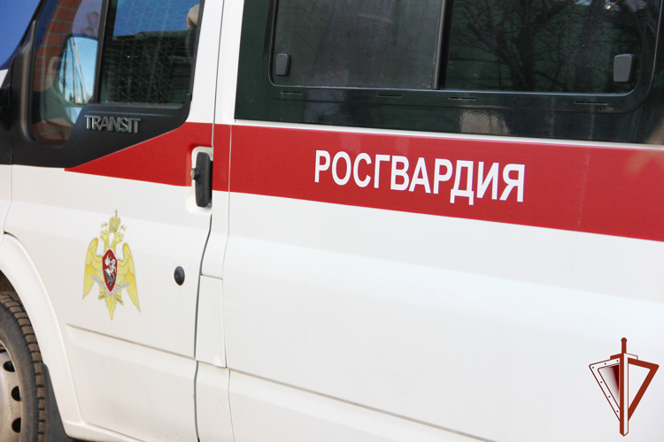 В Краснодаре росгвардейцы обеспечили безопасность во время футбольного матча «Краснодар» — «Ростов»