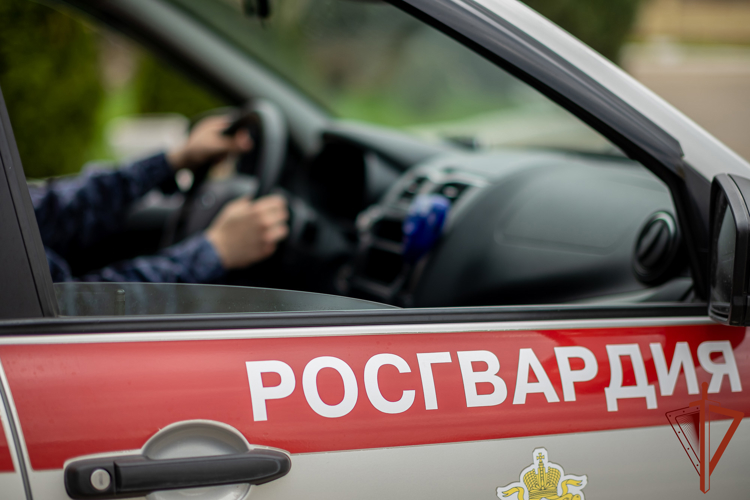 В Геленджике росгвардейцы пресекли нарушение порядка возле детской площадки