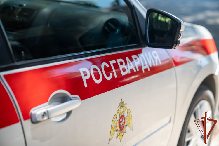 На Кубани сотрудники Росгвардии задержали приезжих, находившихся в розыске